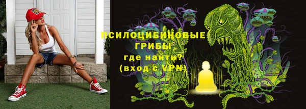 трава Абаза