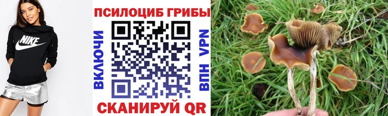 наркотики  Балахна  KRAKEN онион  Галлюциногенные грибы ЛСД 